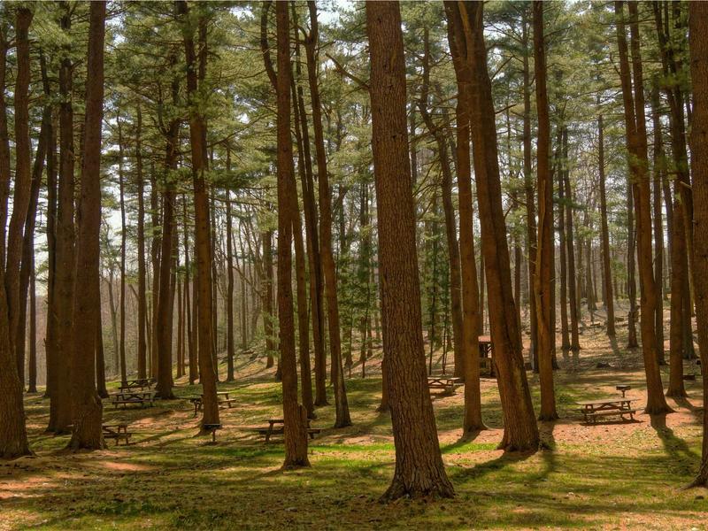 sudoku unique rectangle screenshot 5