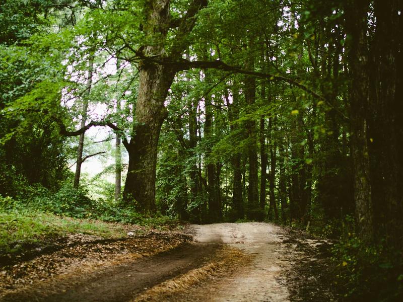 sudoku game online screenshot 5