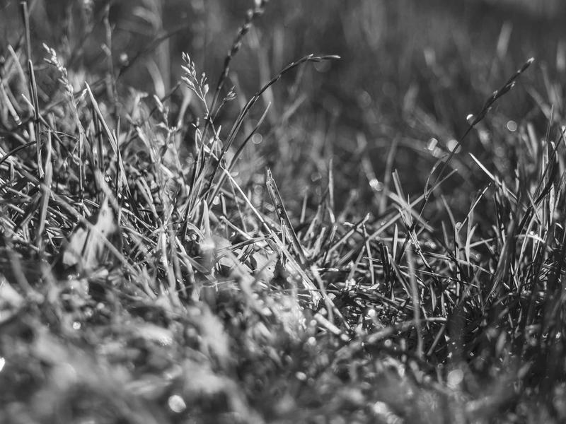 sudoku medium screenshot 4